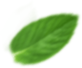 Image Slider 3